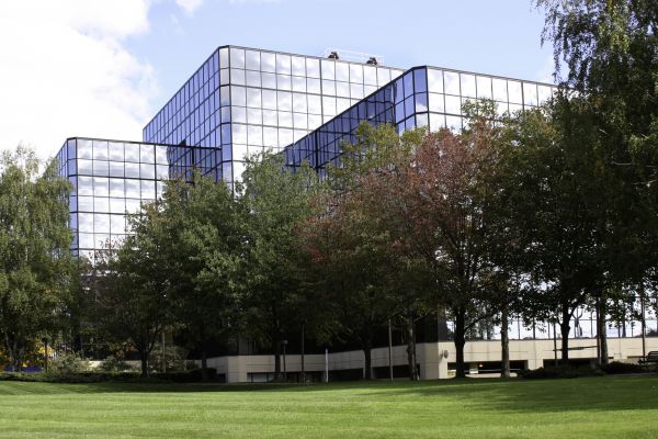 Commercial Tree Trimming in Richland