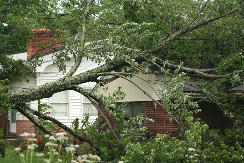 Emergency Tree Care