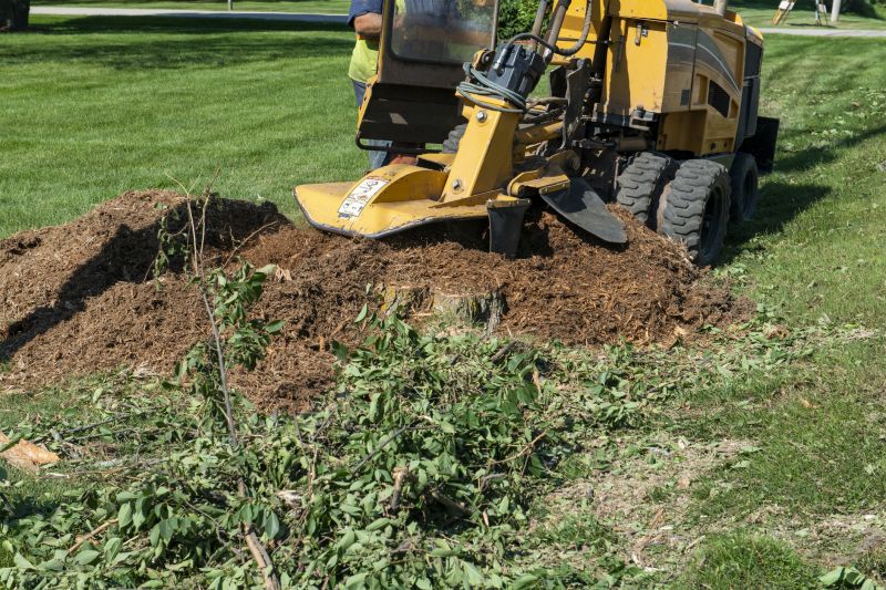 Stump Grinding Specialists